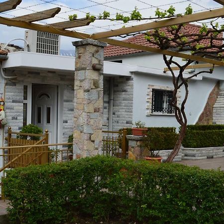 Villa Vila Ss Kekezi à Gjirokastër Extérieur photo